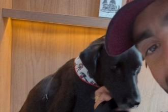 Pedro Scooby adota cão resgatado no Rio Grande do Sul; veja vídeo