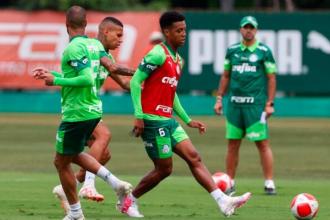 Criciúma x Palmeiras pelo Brasileiro: onde assistir, horário e escalações