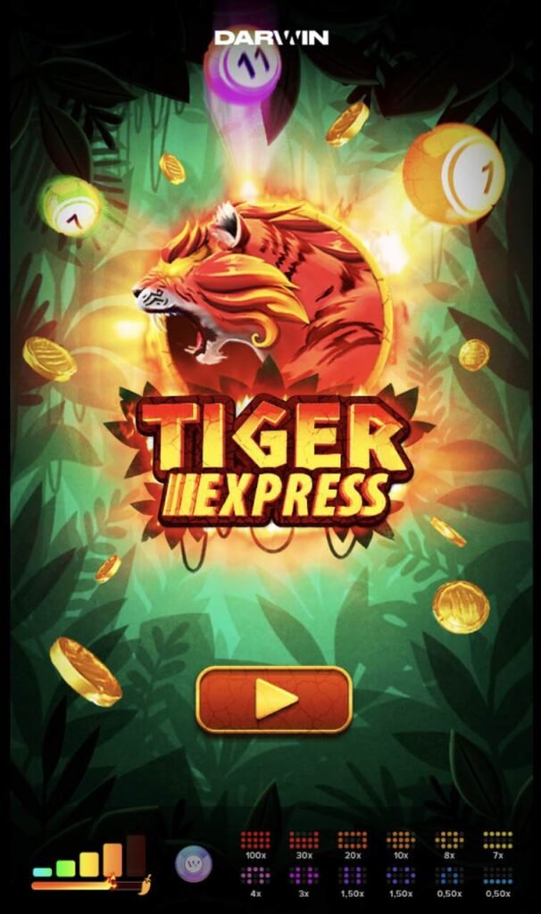 bingo tiger express f12 bet