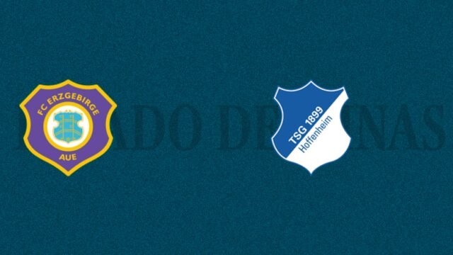 Erzgebirge Aue vs TSG Hoffenheim