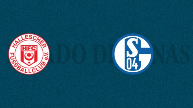 Hallescher FC vs Schalke 04