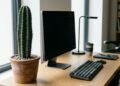O cacto ao lado do computador pode valorizar o ambiente de trabalho, mas não funciona como barreira contra ondas eletromagnéticas