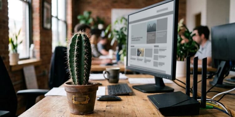 Estudo coloca à prova o mito sobre o cacto Cereus hildmannianus e a radiação de computadores