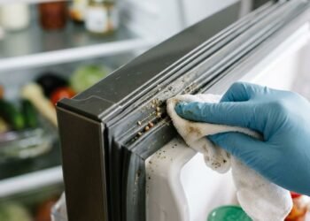 A borracha da geladeira acumula resíduos nas pequenas dobras e exige limpeza delicada para preservar a vedação da porta