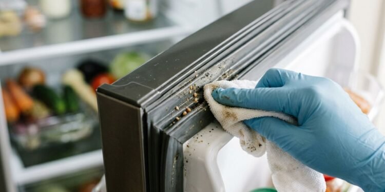 A borracha da geladeira acumula resíduos nas pequenas dobras e exige limpeza delicada para preservar a vedação da porta