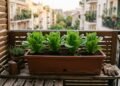 A alface pode ser cultivada em vasos e jardineiras desde que tenha espaço para as raízes, umidade equilibrada e proteção contra calor excessivo nas horas mais quentes
