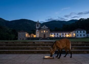 Catas Altas reúne igrejas históricas, montanhas e paisagens naturais //