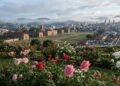 Barbacena, Minas Gerais, reúne plantações de flores e paisagens serranas // IMAGEM ILUSTRATIVA