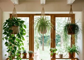 Plantas pendentes aproveitam paredes e áreas altas sem ocupar superfícies, desde que recebam luz adequada e tenham suportes compatíveis com o peso dos vasos