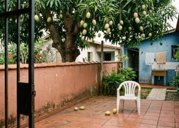 De quem são os frutos que caem no quintal do vizinho