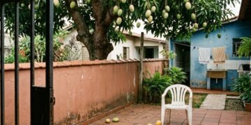 De quem são os frutos que caem no quintal do vizinho