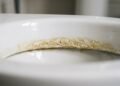 Depósito mineral amarelado acumulado na linha d'água de um vaso sanitário de porcelana