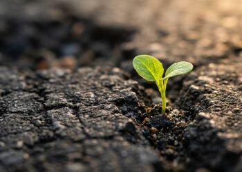 Resiliência, persistência e recomeços