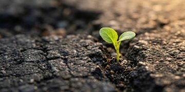 Resiliência, persistência e recomeços
