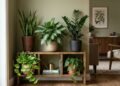Plantas para pouca luz podem funcionar em interiores com claridade indireta, desde que o ambiente não fique em escuridão completa e as espécies sejam compatíveis com sombra moderada