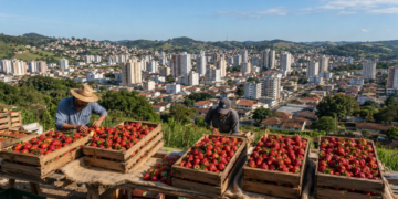 Pouso Alegre, Minas Gerais, mantém ligação forte com a produção agrícola // IMAGEM ILUSTRATIVA