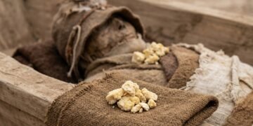 O alimento preservado abriu uma janela rara para os hábitos alimentares de uma população antiga