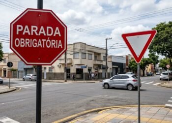 Os formatos permitem reconhecer a ordem mesmo quando palavras e cores estão difíceis de enxergar