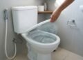 A descarga pode lançar pequenas partículas para o ambiente ao redor do vaso