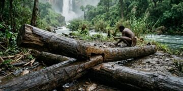 A madeira preservada trouxe pistas raras sobre habilidades humanas muito antigas