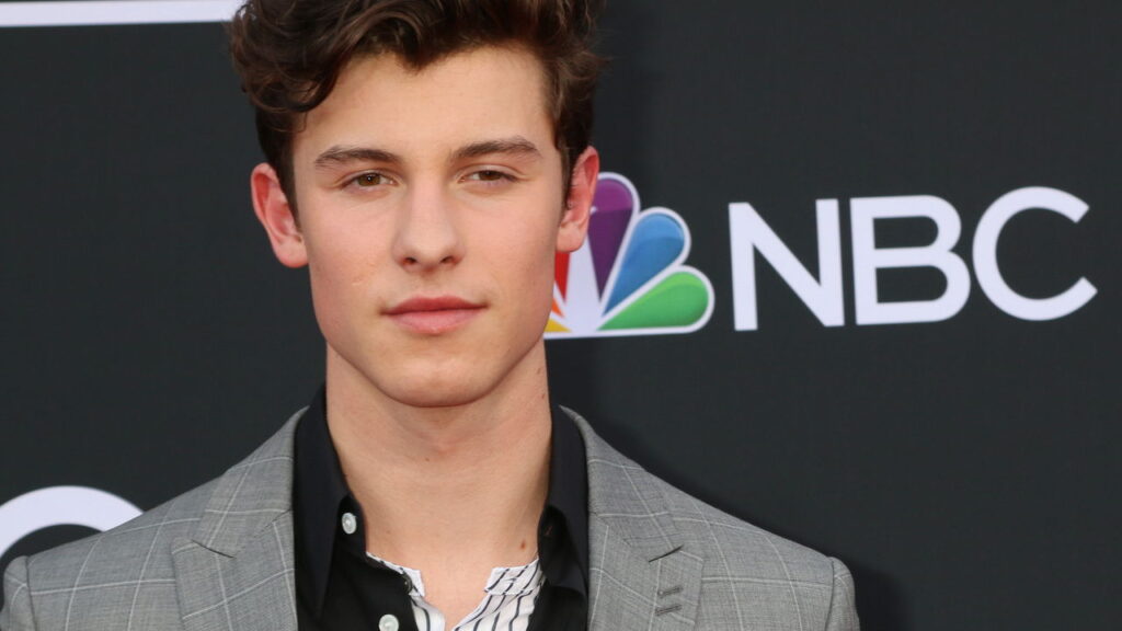Shawn Mendes - Créditos depositphotos.com Jean_Nelson