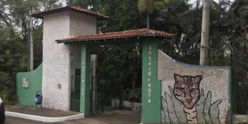 Conheça as novas moradoras do Zoobotânico de Varginha!