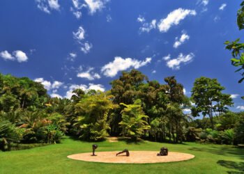 museu de arte - Flávio Jota de Paula Flickr