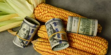 O Agro foi enganado: Quais os 4 maiores golpes que abalaram o setor?