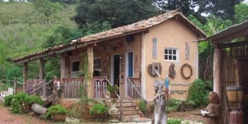 Bichinho Minas Gerais - Eliane Kobayakawa