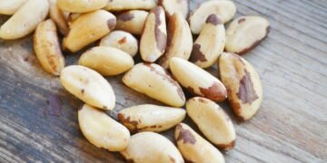 Qual o segredo da castanha-do-Brasil que a torna tão especial e valorizada?