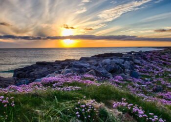 Sua Próxima Aventura Te Espera na Escócia