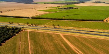 Goiás para além das águas termais, um guia completo para exploradores