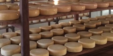 Qual o segredo por trás do sabor único do Queijo Canastra?