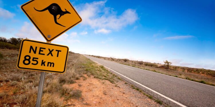 Explore um destino onde cangurus e paisagens incríveis te esperam