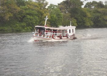 Você conhece de verdade o Amazonas?