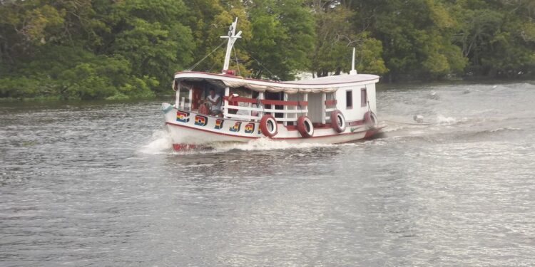 Amazonas - WIkimidia Commons
