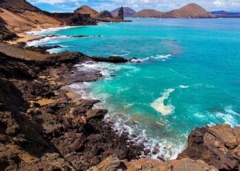 Você nunca viu um lugar assim: natureza intocada e animais exóticos