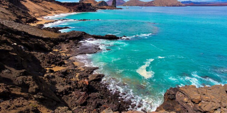 Você nunca viu um lugar assim: natureza intocada e animais exóticos