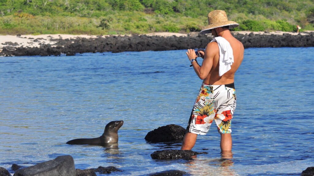 Você nunca viu um lugar assim: natureza intocada e animais exóticos