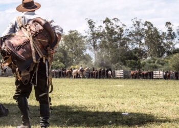 Qual é o segredo da longevidade das tradições gaúchas?