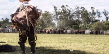 Qual é o segredo da longevidade das tradições gaúchas?