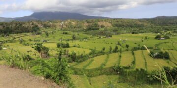 Este país esconde um dos maiores templos budistas do mundo! Veja onde fica