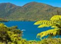 Nova Zelândia: Um Paraíso Natural