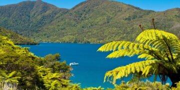 Nova Zelândia: Um Paraíso Natural