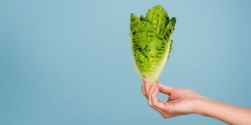 A importância da alface em uma dieta equilibrada e nutritiva!