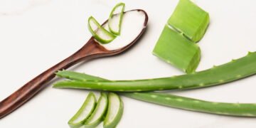 Transforme sua casa em um spa! Cultive babosa e aproveite seus benefícios