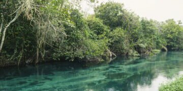 Fuja da Realidade e Explore o Paraíso Ecológico de Bonito!