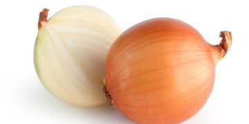 Saiba como ter cebolas frescas o ano todo em sua casa!