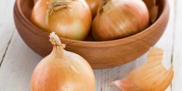 Saiba como ter cebolas frescas o ano todo em sua casa!