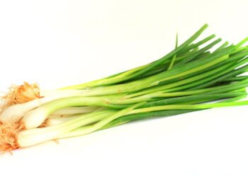 Tenha cebolinha fresca sempre à mão: aprenda a cultivar em casa!